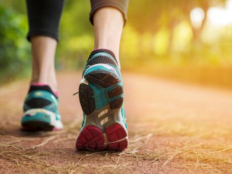 Information for walkers